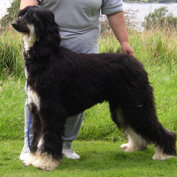 Ruben in Scotland on holiday.